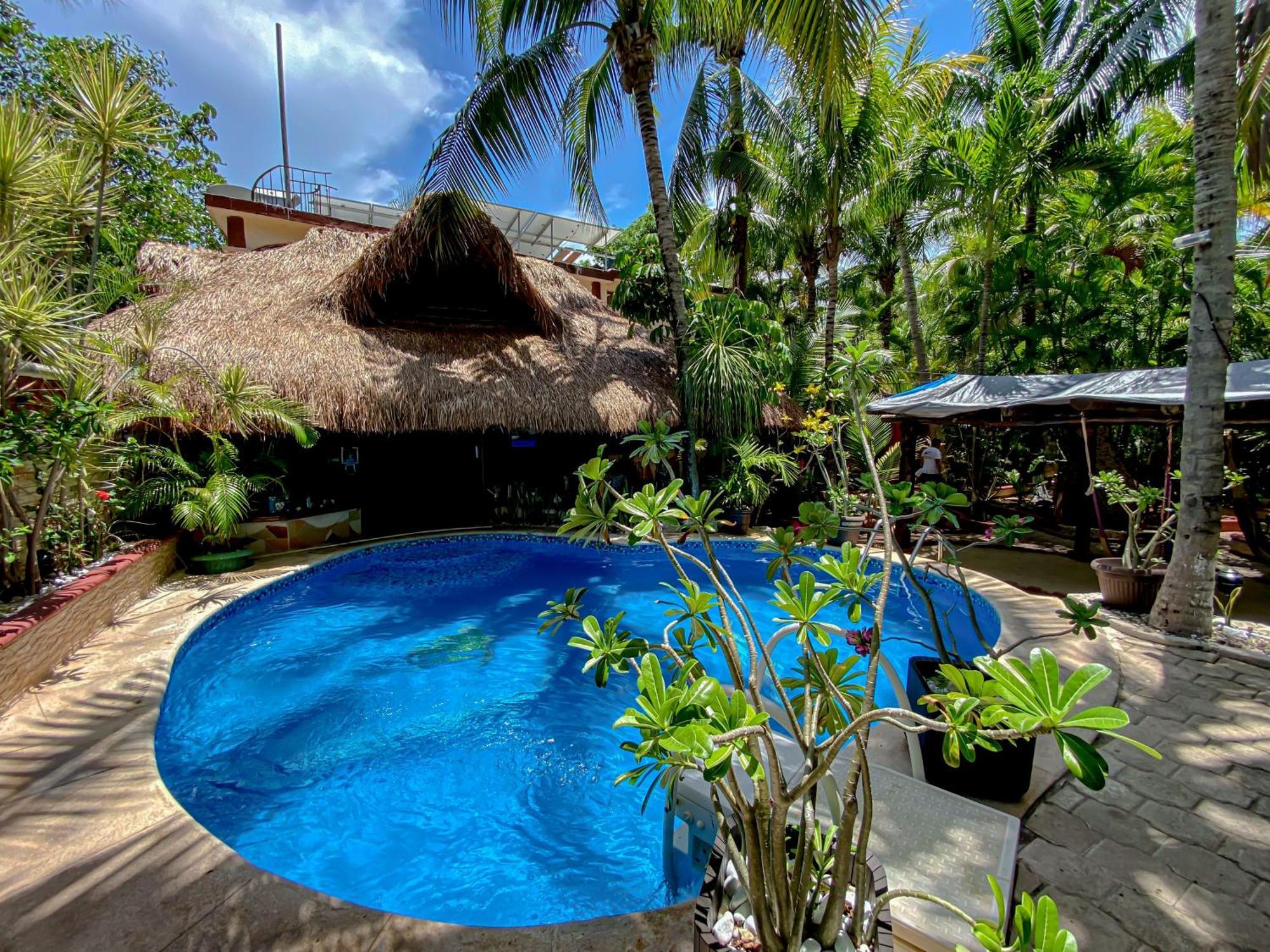 Cocos Cabanas Playa Del Carmen Adults Only 외부 사진