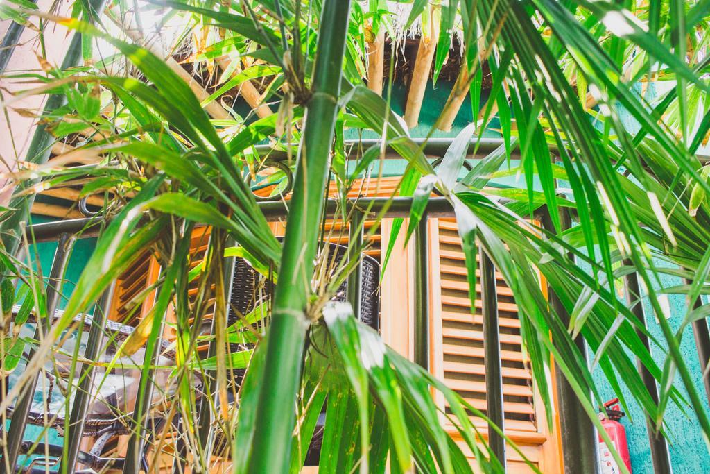Cocos Cabanas Playa Del Carmen Adults Only 외부 사진