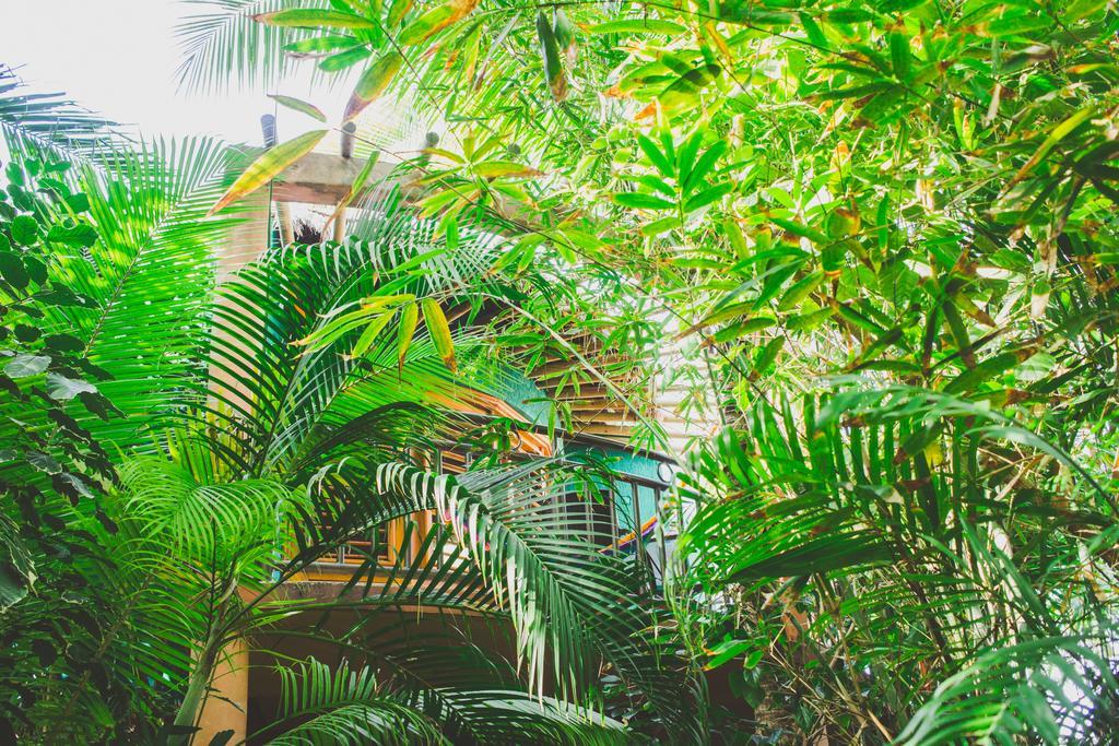 Cocos Cabanas Playa Del Carmen Adults Only 외부 사진