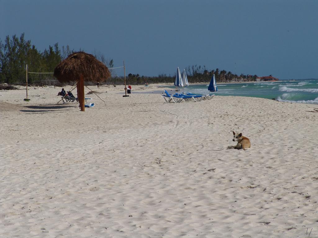 Cocos Cabanas Playa Del Carmen Adults Only 외부 사진